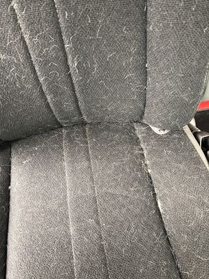 Dog hair covering the seat