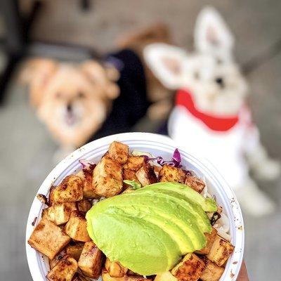 IG @FoodandPooch