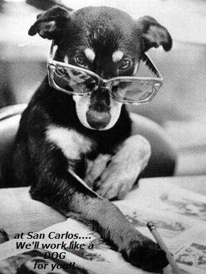 At San Carlos Title we'll work like a dog for you.