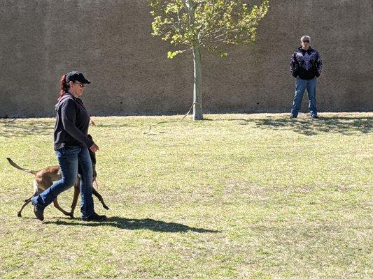 K9 Obedience