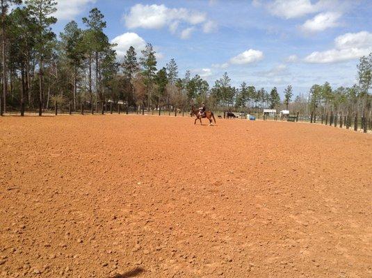 Training 4 year old gelding in arena