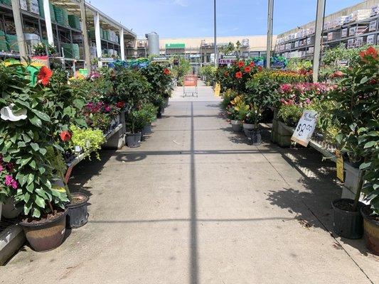 Shopping the aisles in the garden center.