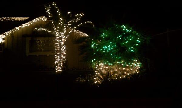 christmas lights installation