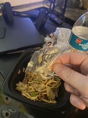 Lovely piece of plastic mixed in my chow mein