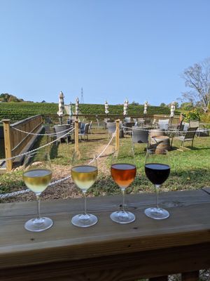 Wines and view