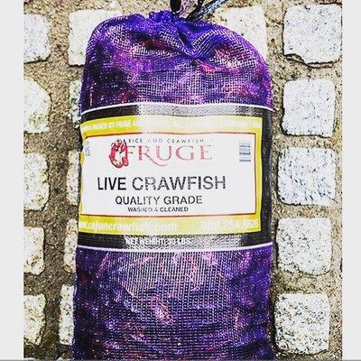 Live crawfish