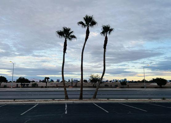 Beautiful strip view on Rainbow Blvd.