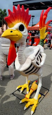 Buffalo Chicken Wing Festival