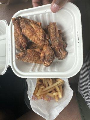 Chicken wings and fries