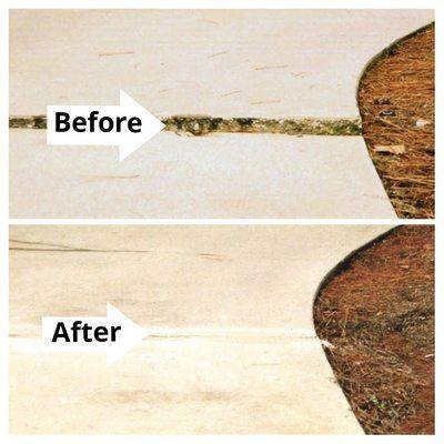 Is your concrete settling?  Do you have mismatched concrete causing trip hazards?  Let us give you a free estimate.  Call 262-827-5000,