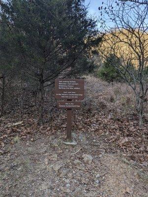 The saddle of Cumberland Gap!