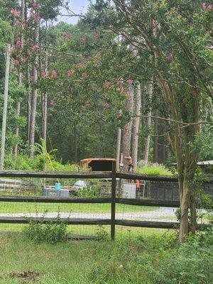 Stanley & Sons Tree Service