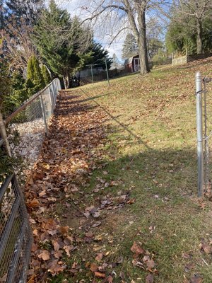 Leaf clean-up completed in early December