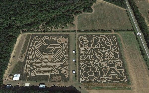 Magnolia Corn Maze