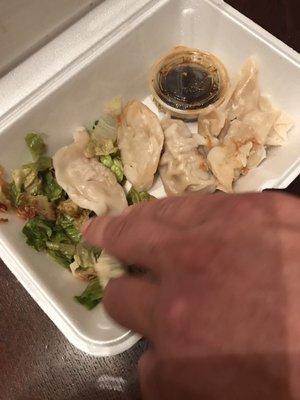 Chicken dumplings