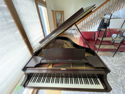 1924 Steinway M