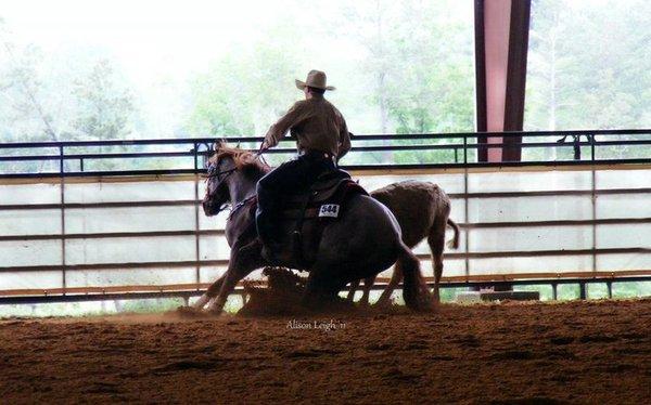 Reined cow horse, Leave It To Me Mate and Jesse Chase going down the fence