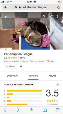 Pet Adoption League