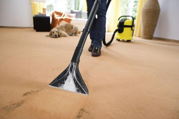 Chandler Carpet Cleaning Masters