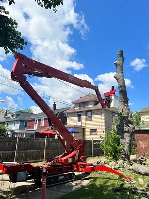 Branch Specialists Rochester NY