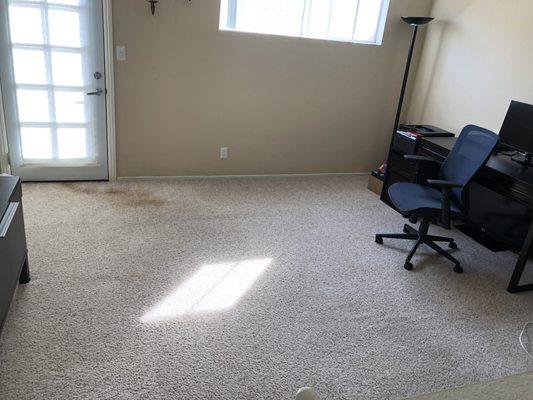 Eco Green left the carpet like that and is stating that the tenant damaged it.