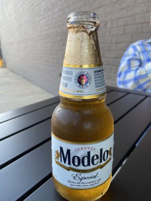 Modelo