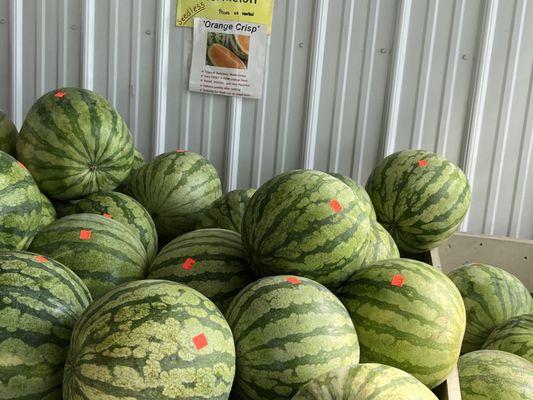 Special watermelon