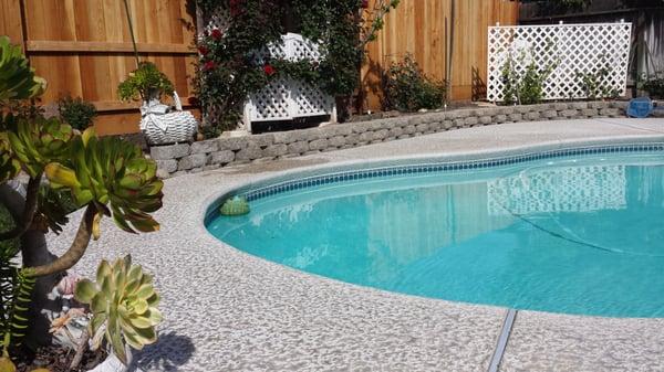 A clean pool is the start of the perfect backyard and the perfect summer.