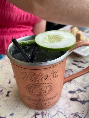 Rochester Mule