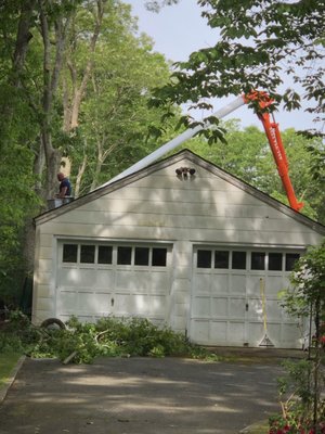 Cleared everything that was dangerously hanging over my garage.