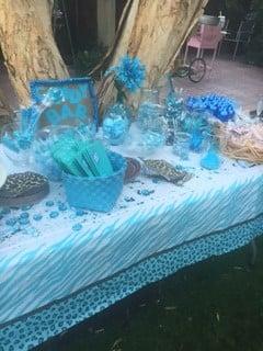 Baby Shower Event /  Hand made decor & ideas