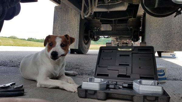 MAX! Our service dog, like us he isn't afraid of getting dirty