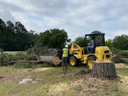 We not only take down trees but clean up and remove all debris.