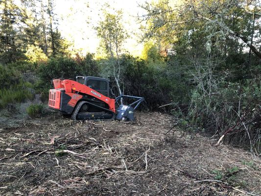 SnaggleTooth Mulching