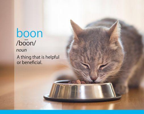 Boon Pet Care