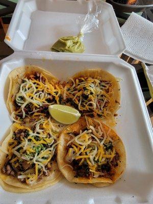 asada, pastor, pollo tacos