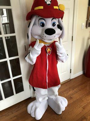 Paw Patrol.. Book today!410-204-9243