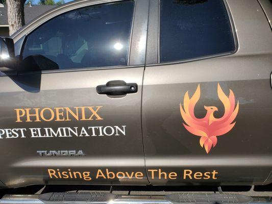 Phoenix Pest Elimination