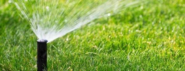 Sprinkler Installation and Maintenance