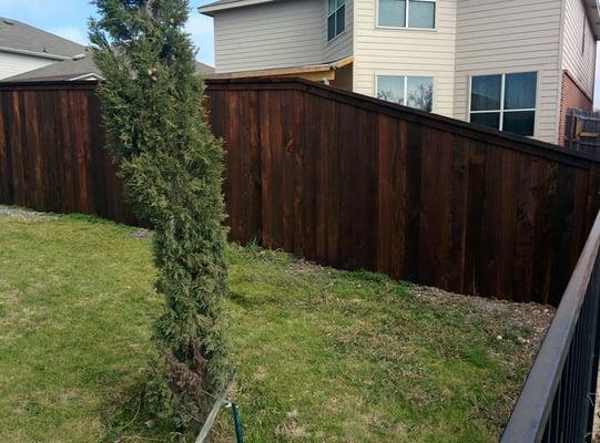 6-foot pre-stained wood privacy fence with cap & trim in Fort Worth.