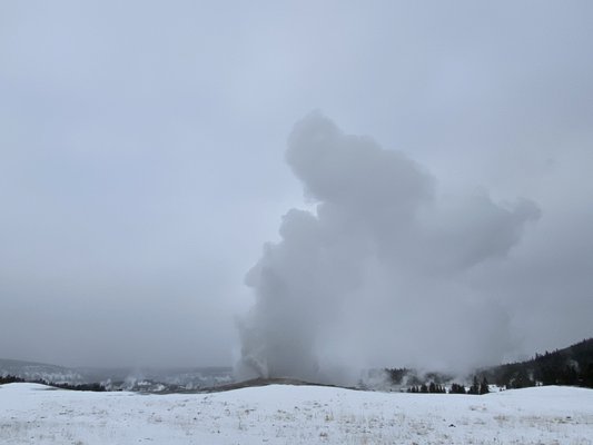 Old faithful exploding.