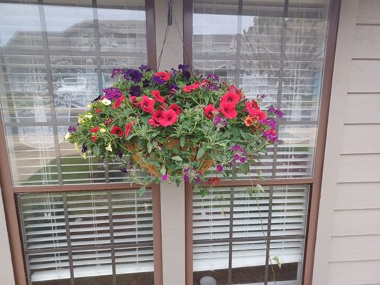 Got my honey's colorful hanging plant up :-)