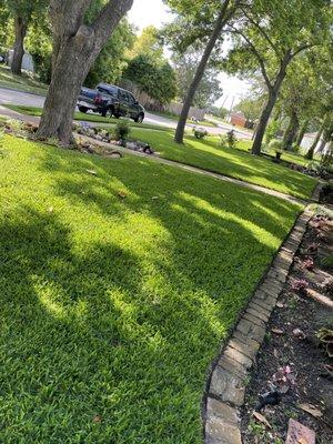 Fresh cut lawn