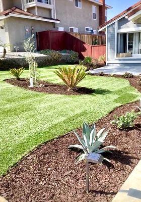 Renovated front yard by Luis of Family Roots Landscaping.