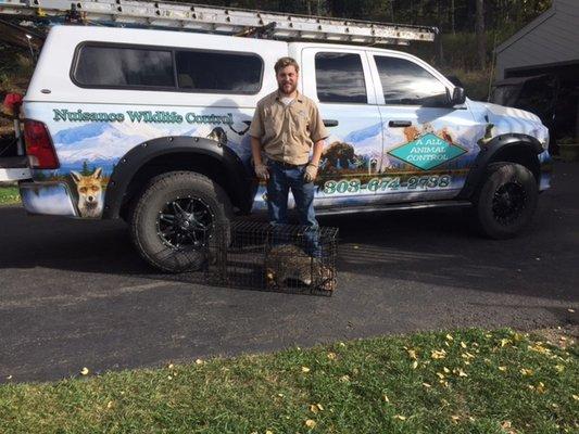 AAAC Wildlife Removal Of The Central Mountains