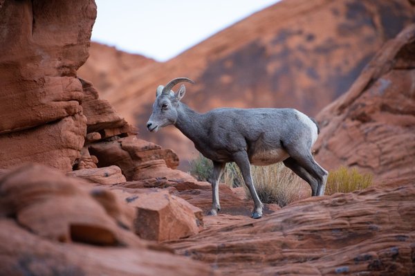 Valley of Fire State Park