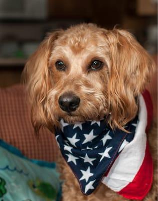 Brewski is the Englewood Tim Horton's store mascot. He can hardly wait to get his free Tim Bit at the drive thru.