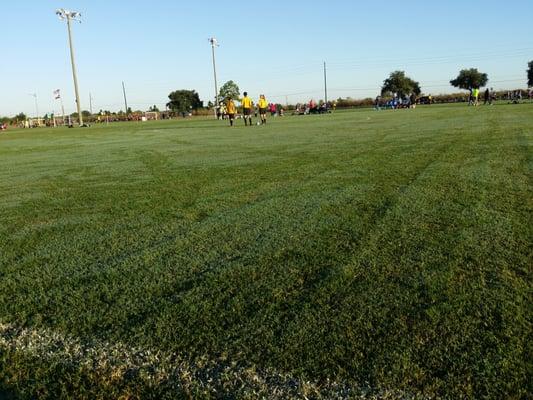 Katy Youth Soccer Association