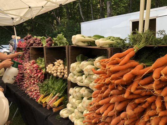 Beautiful veggies