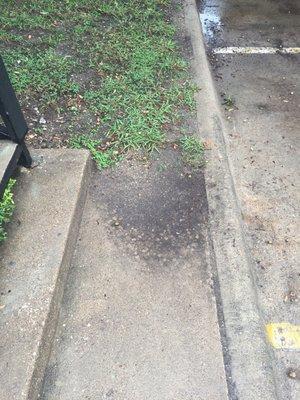 Every time it rained mud flooded the side walk and stairwell